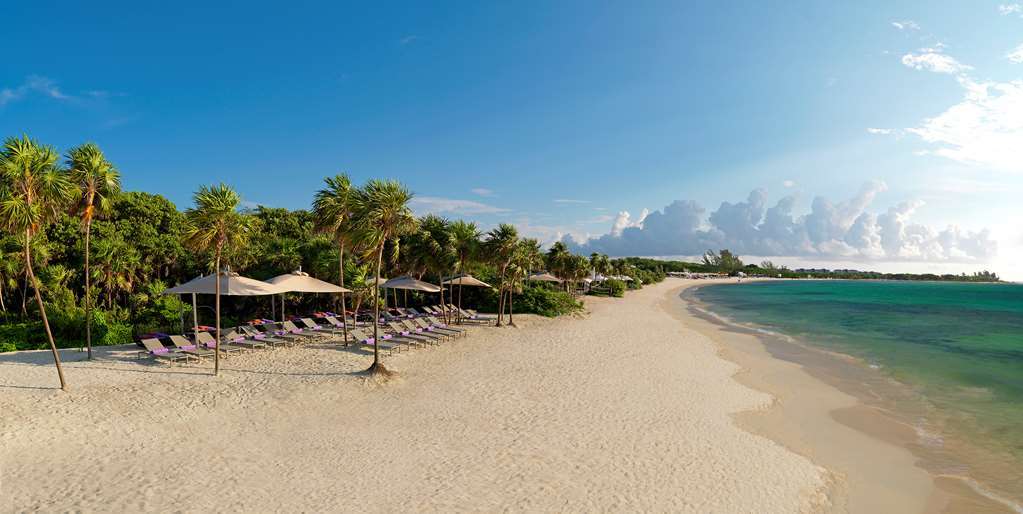 Royal Service At Paradisus La Perla (Adults Only) Πλάγια Ντελ Κάρμεν Φύση φωτογραφία