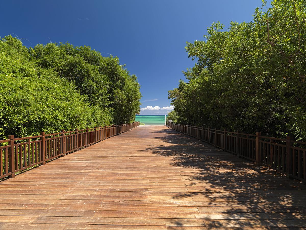 Royal Service At Paradisus La Perla (Adults Only) Πλάγια Ντελ Κάρμεν Εξωτερικό φωτογραφία